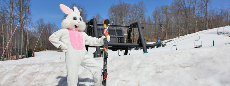 Easter Bunny with Skis